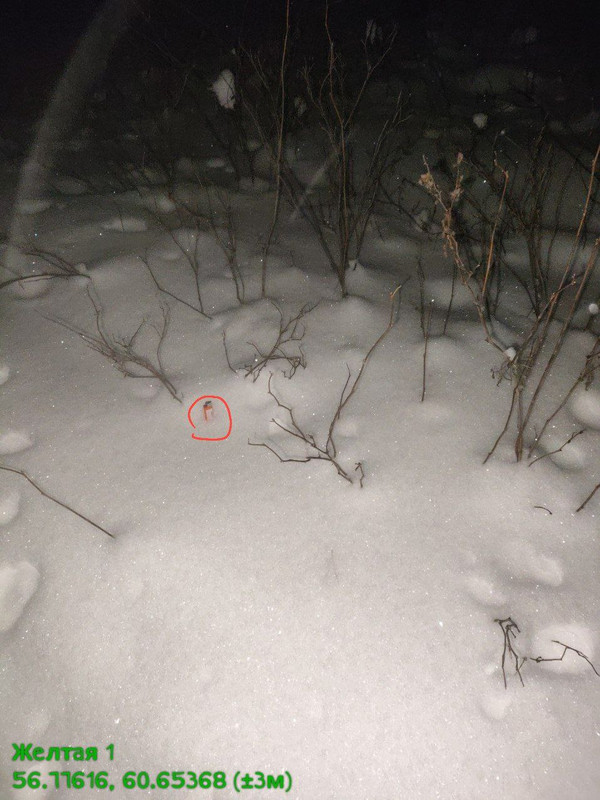 photo 14 2026 03 10 13 07 41