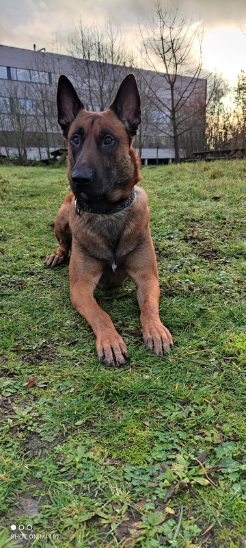 131890259_10158081049087799_7905961490079158796_o