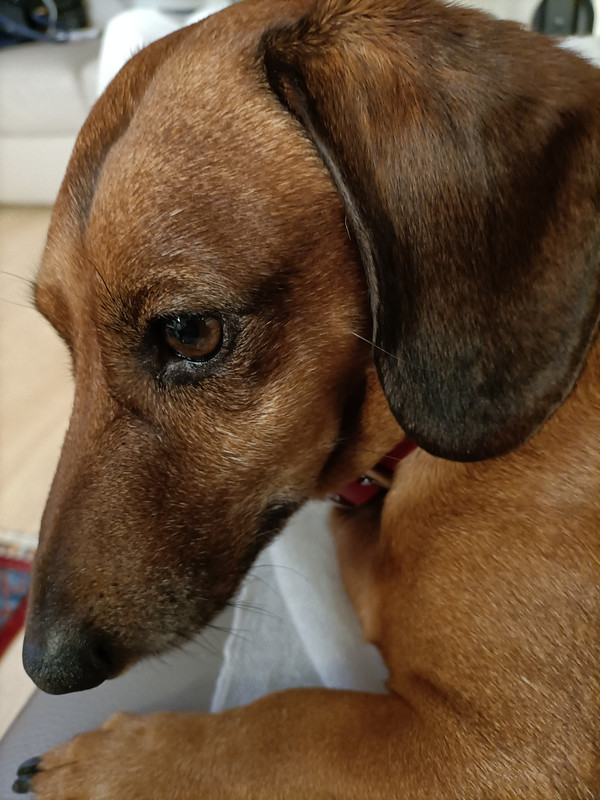 [Image: IMG20210724152742.jpg]