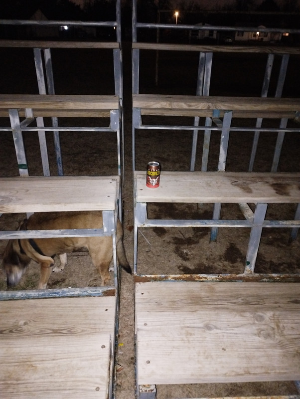 IMG_20240202_204535777