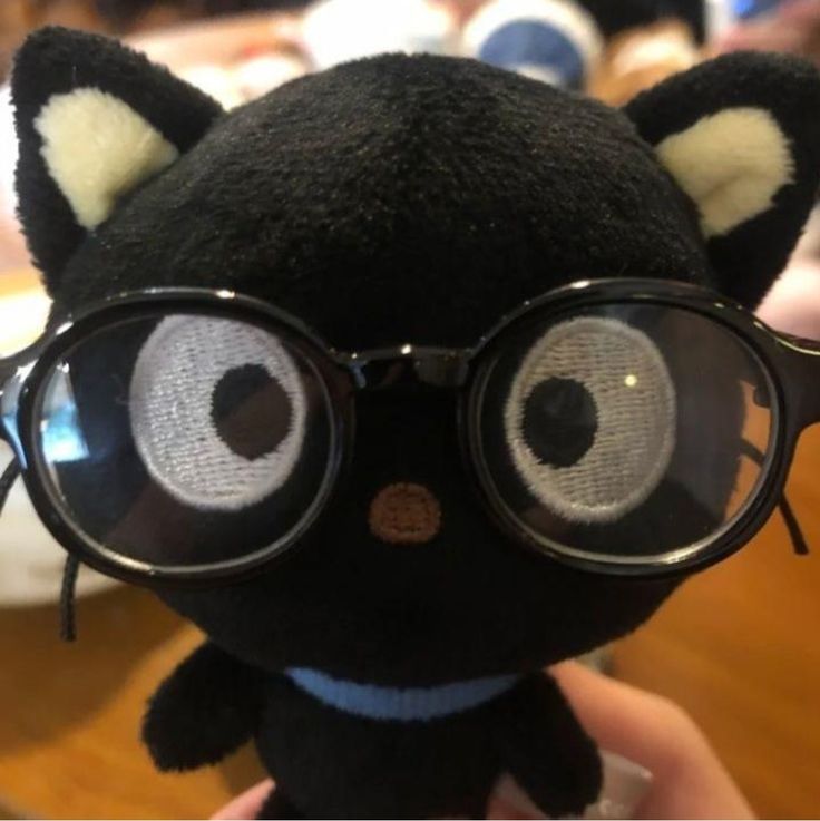 coco cat 3
