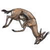 spekesgazellecarcass.png