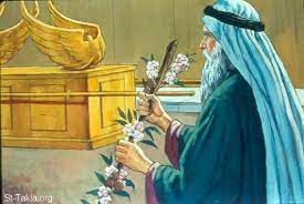 [Image: download.jpg]