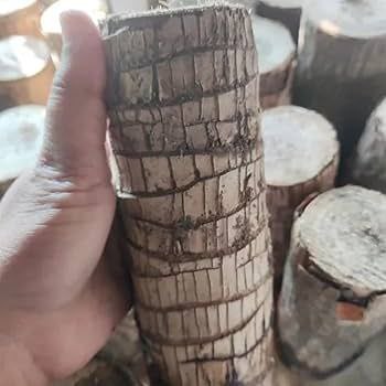photo 23 2026 01 25 12 21 05