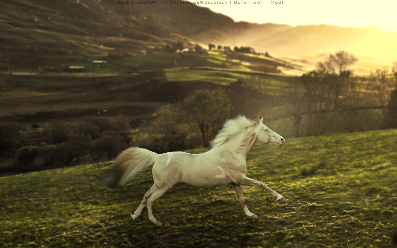 6E0DB748-E65D-44D2-BA91-92D03387C141