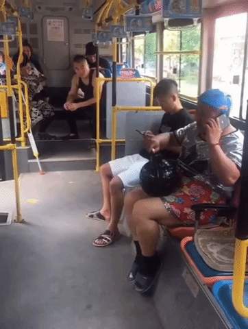 daily-gifdump-3351-01.gif