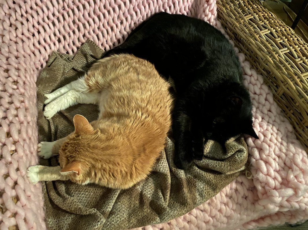 D5EF411C-828C-40FF-9F82-6589AC4BDA0B