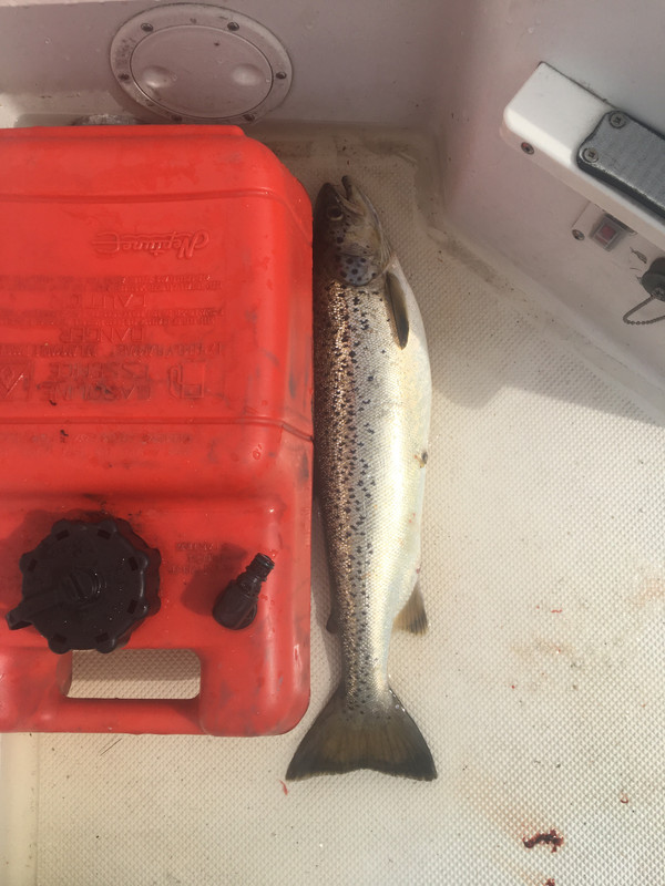 6FCFDFD4-E980-4559-9373-E2F44D26C1BC