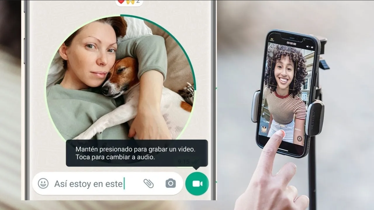 ¿Cómo activar los mensajes de video de WhatsApp cuando no te aparecen?