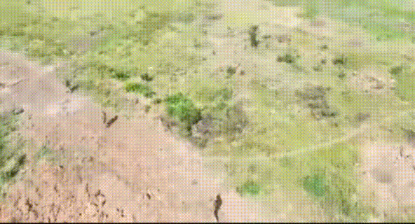 WhatsApp-Video-2025-03-24-at-16.17.55