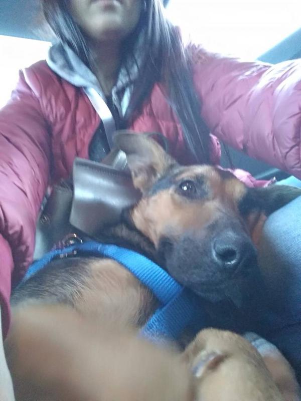 Марта малятко4