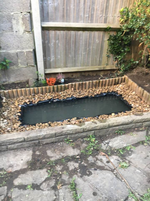 27971942_10156038234187457_4181746157507905813_n