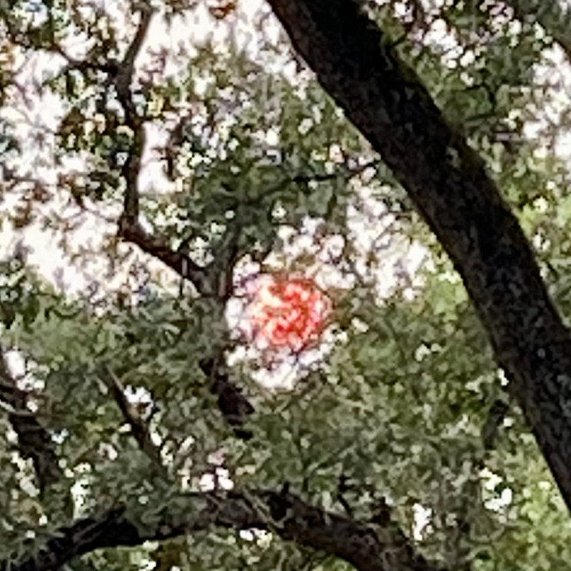 8DCB6851-B116-45C8-A705-550A6CE2F4DE