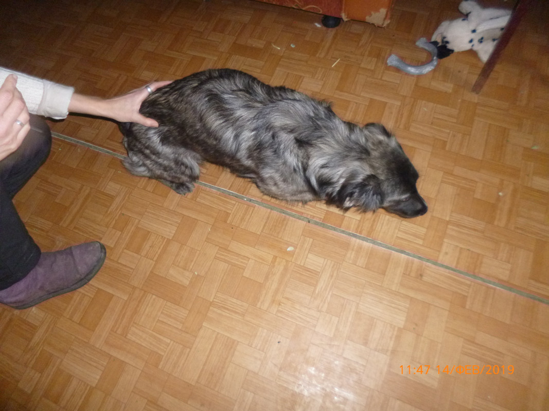 7F750C5C-C046-44B8-825E-A4B53B97B43A