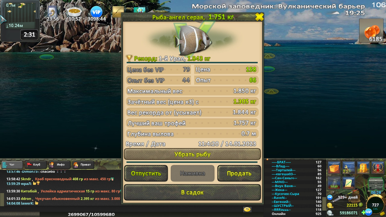 Охотник на Ведьм 13 - Рыба-ангел серая