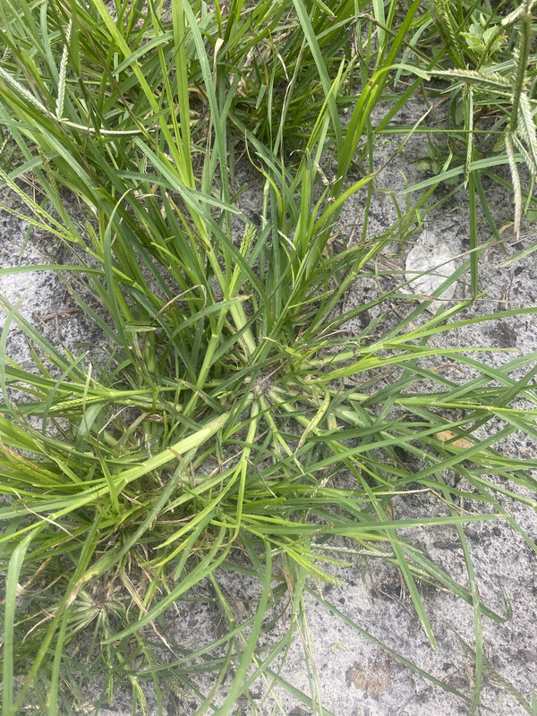 57B81E77-B2BC-418C-A594-A753807C9390