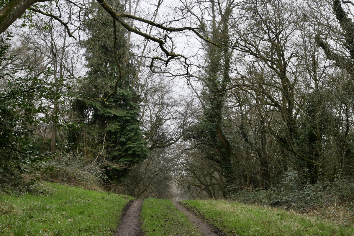 38EBF92F-14E6-4A32-B41C-C631A20A681E