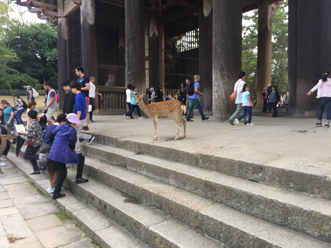 1183F386-00DC-469E-AAE7-5895949CEE7E