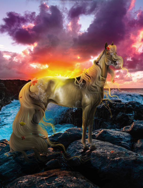Sunny-Wild-Pony-Sunset-Waterfal-Full.png