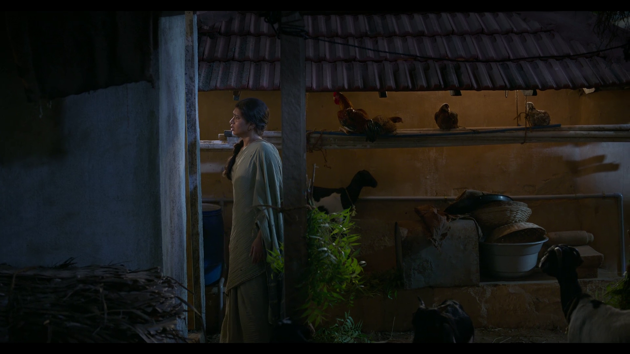 vlcsnap-2025-04-24-21h06m10s055