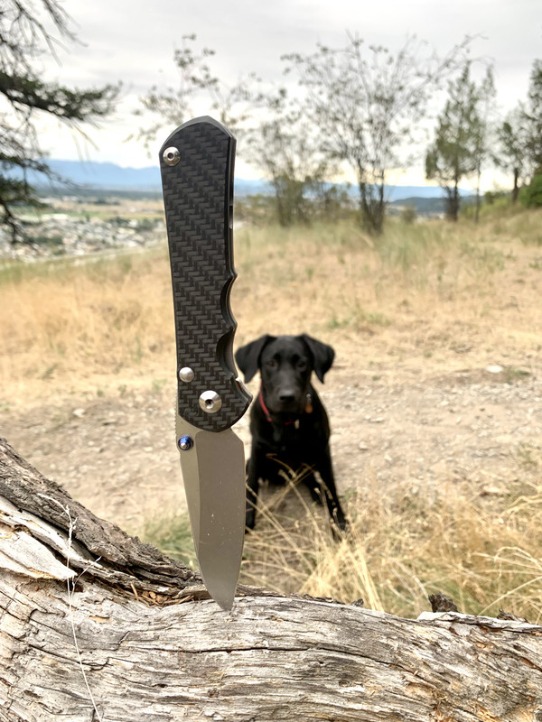 53D5FEDF-12AB-4B8D-B4E5-D2DD0B4DA31A