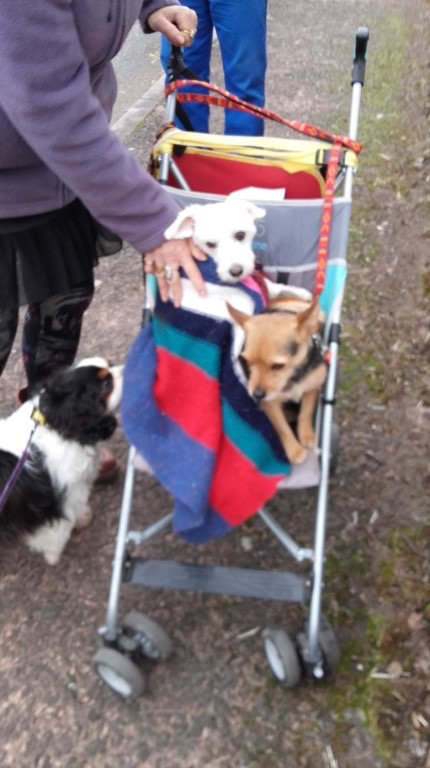 33F9ED6E-8085-4E6D-8BD2-4BADB97E5D65