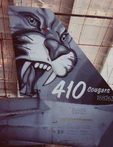 cougar-1.jpg