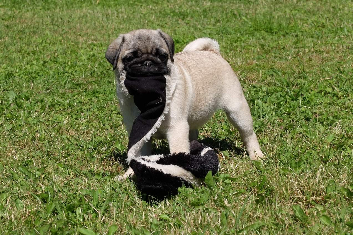 F4170333-26F2-4A9D-A876-E8832DEB2BAA