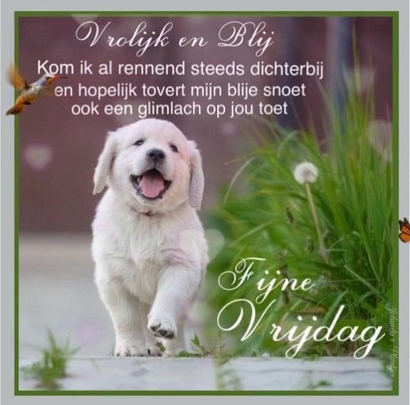 vrolijk-en-blij-vrijdag