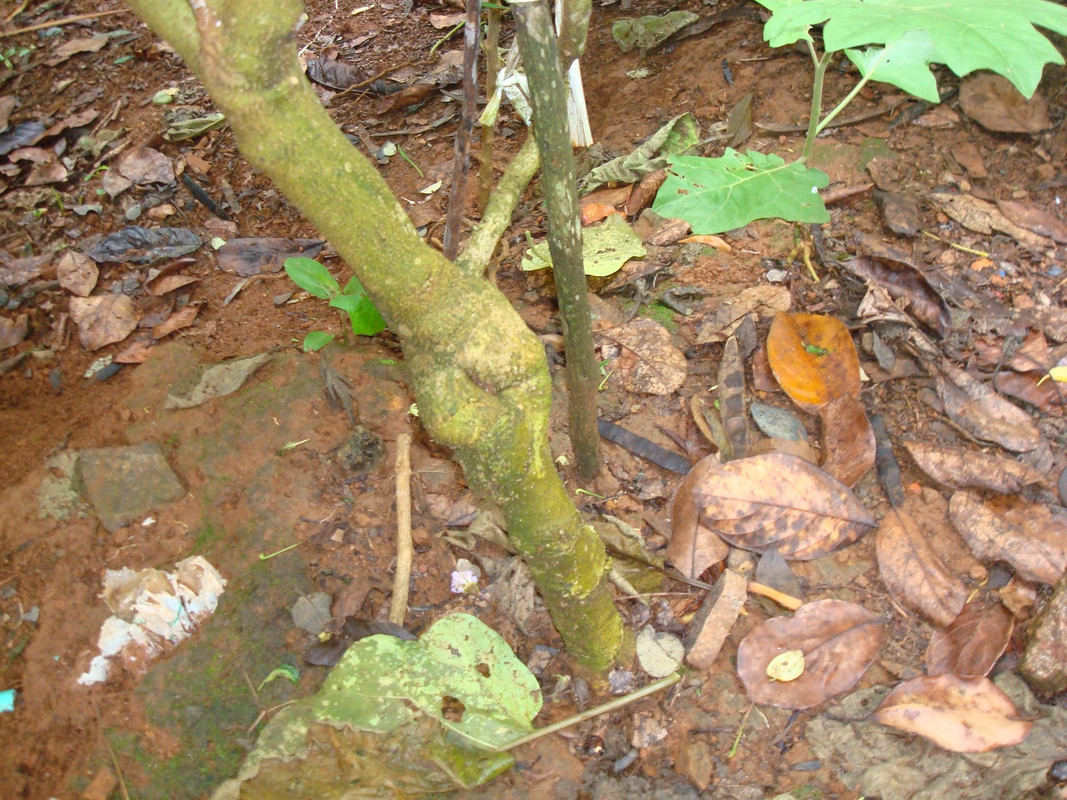 DSC06858
