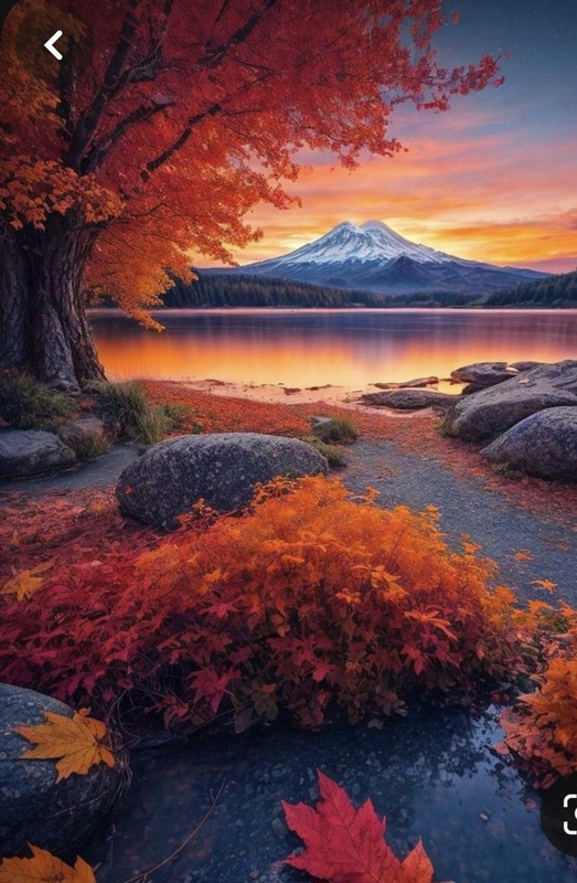 Screenshot_20240218_210921_Pinterest