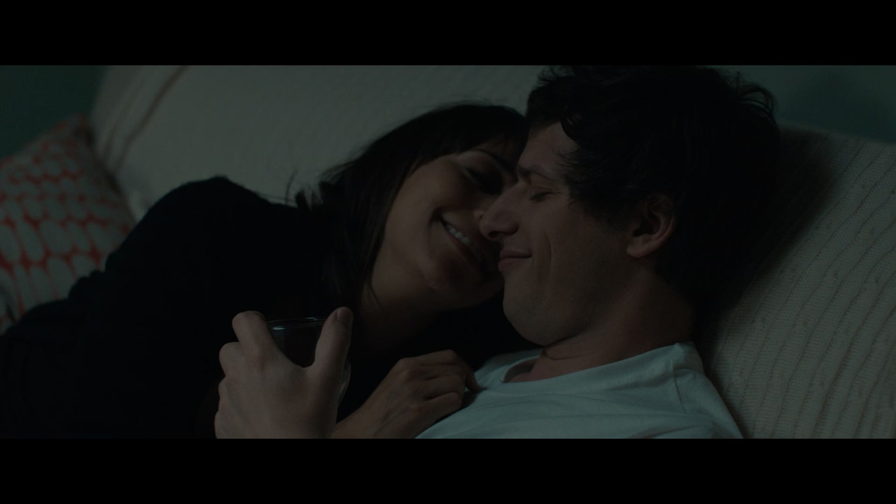 Celeste & Jesse Forever (2012) (1080p BDRip x265 10bit DTS-HD MA 5.1 - HxD) [TAoE].mkv_20200707_1358