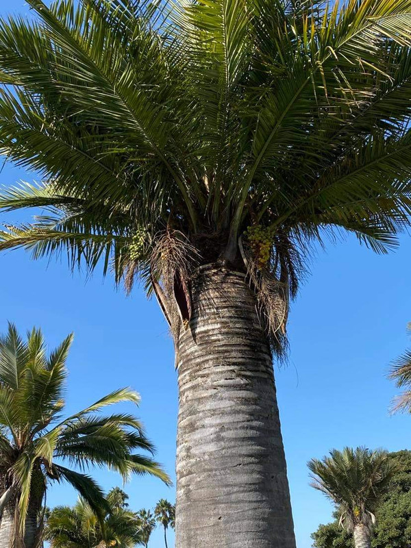 received_989752538196154