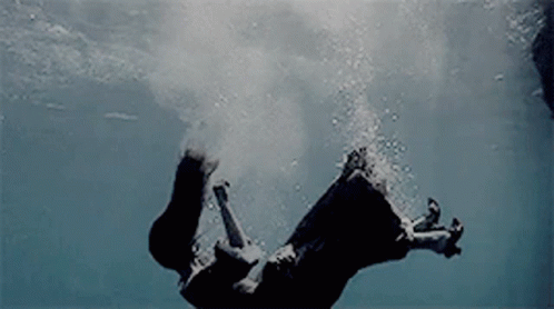 915fc38c6551df2f7da948c6dffe90eb.gif