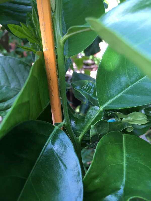 80E88718-F1D1-4552-A1AD-7A0AE5A1DB29