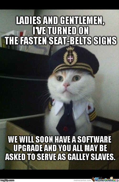 pilot-cat-galley-slaves.jpg