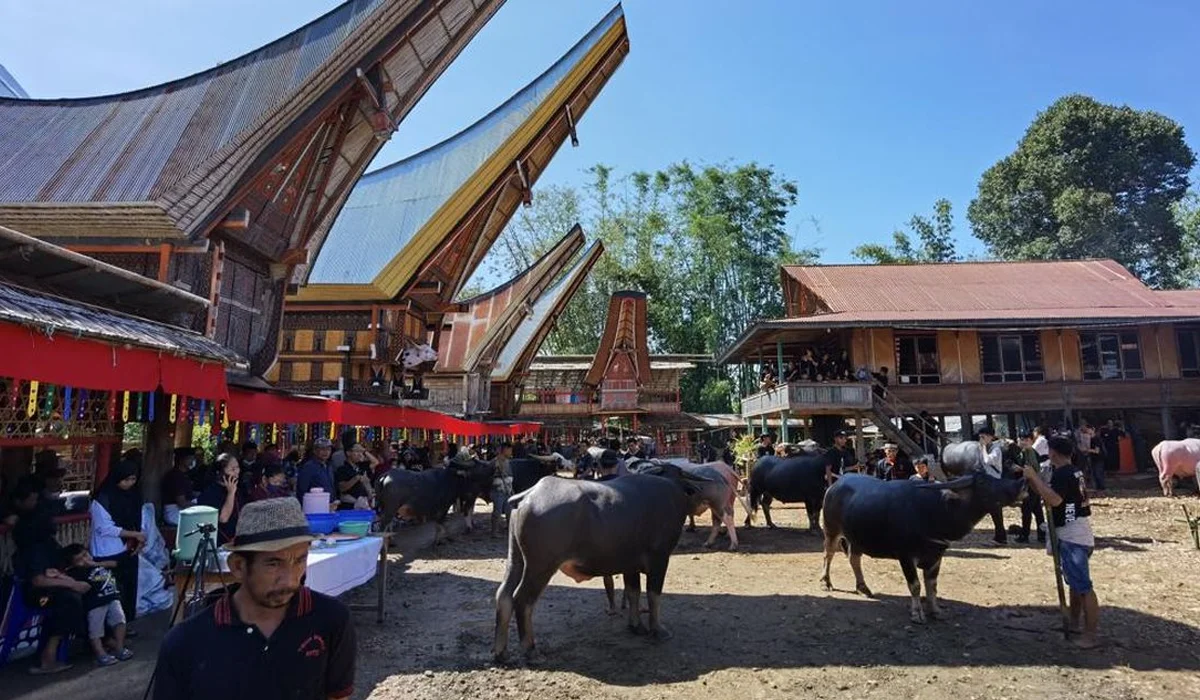 Upacara Adat Kematian Toraja: Antara Budaya dan Spiritualitas