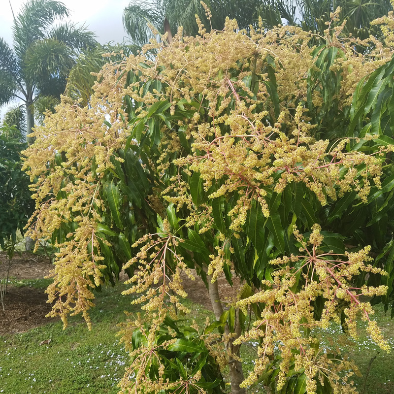 IMG_20200524_092536_865