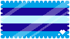 trans man