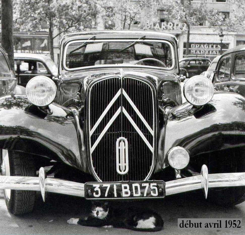 75 Paris Le Chat