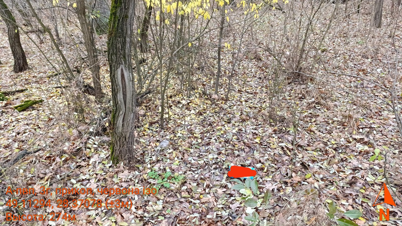 photo 35 2025 11 12 22 06 36