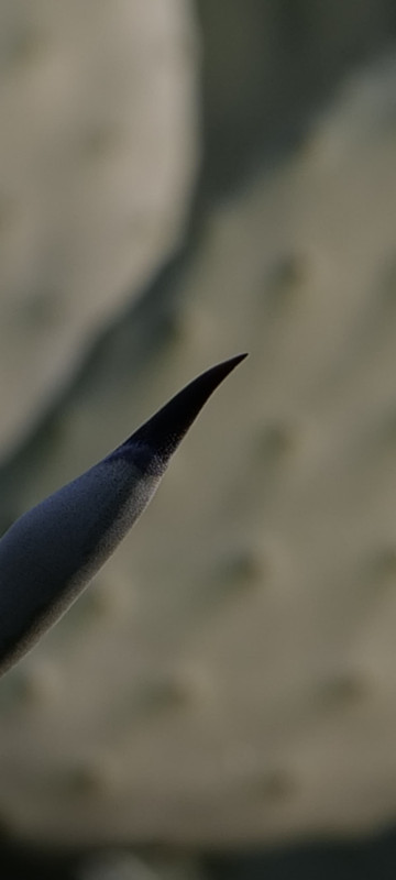 Whats App Image 2025 12 31 at 23 59 00 (2)