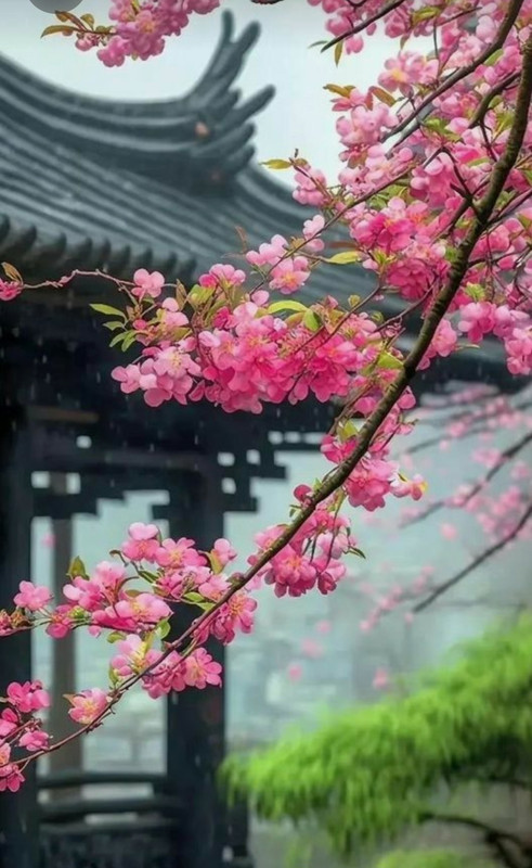 Screenshot_20231002_220826_Pinterest