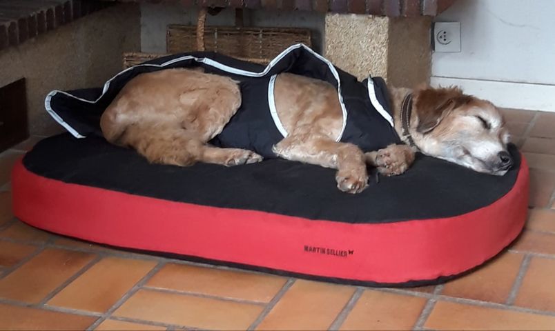 [Image: 148025985-765262941064640-2216794463134296538-n.jpg]