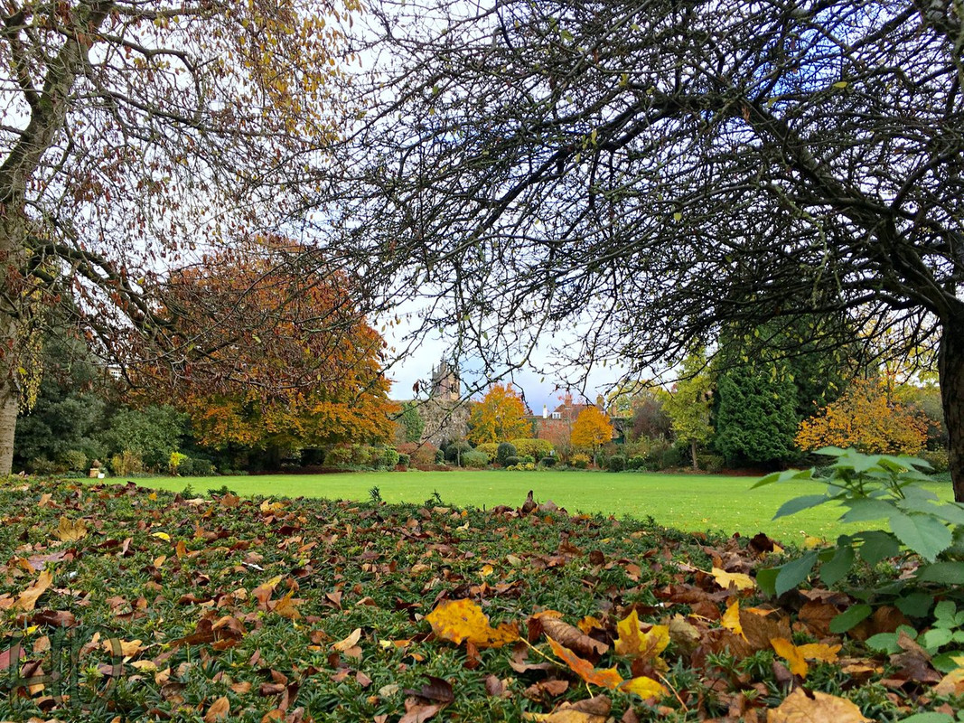 Autumn-Park-Town-HD.jpg