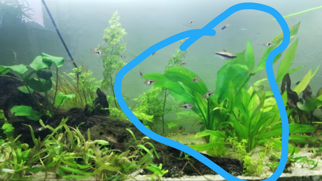 Screenshot_20180609-102846__01