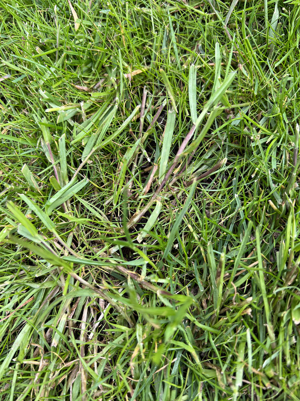 230F4A55-3427-46B5-9225-5625E857D1CD