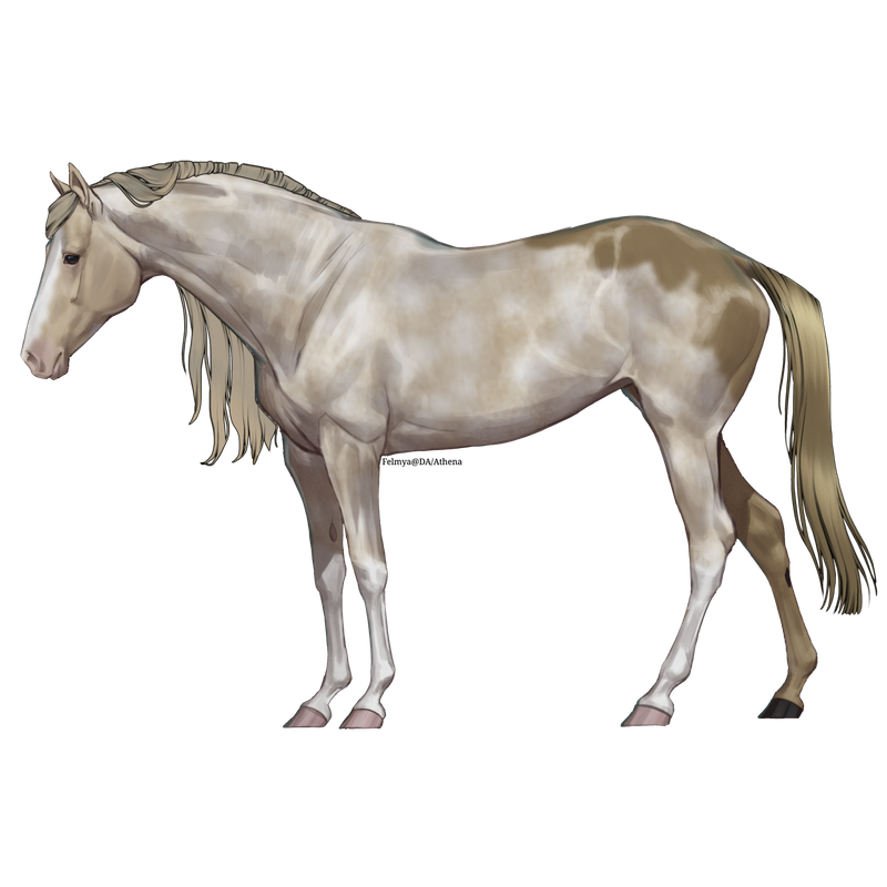 0-364053-Starry-Hills-N-A.png