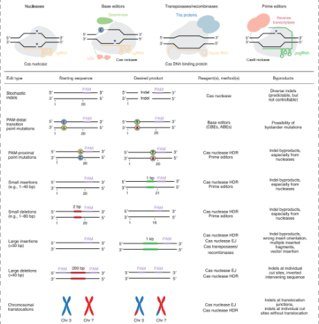 CRISPR-Cas-2.png