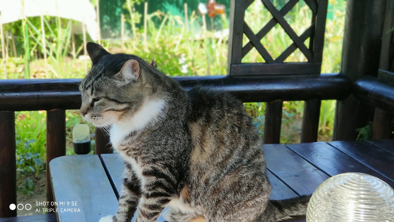 изображение_viber_2020-07-17_13-12-40